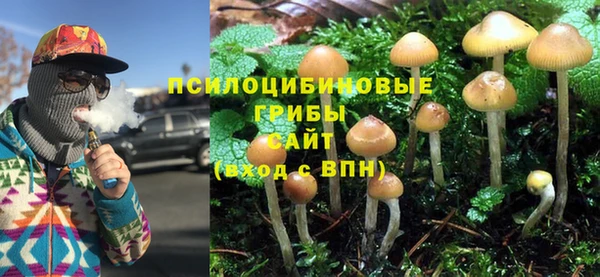 герыч Каменка